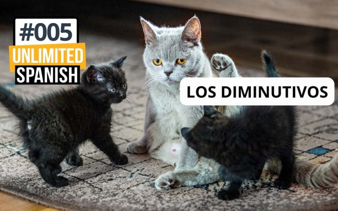 #005: Los diminutivos. La importancia de la gramática