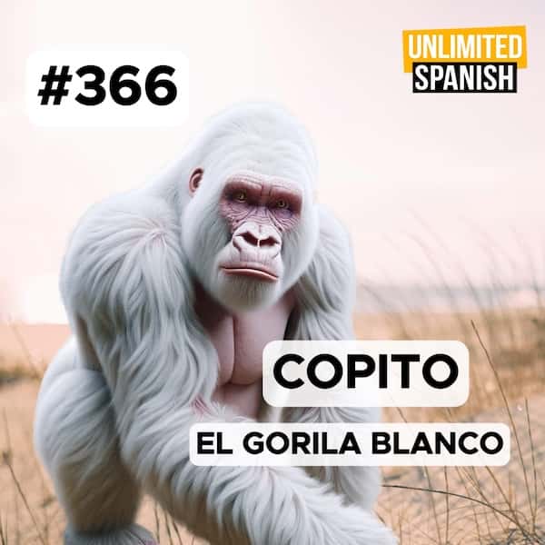 #366 Copito – El gorila blanco de Barcelona #366 Copito - El gorila blanco de Barcelona