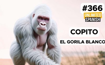 #366 Copito – El gorila blanco de Barcelona