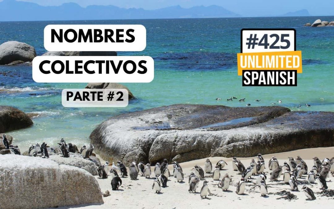 #425 Nombres colectivos en español parte 2