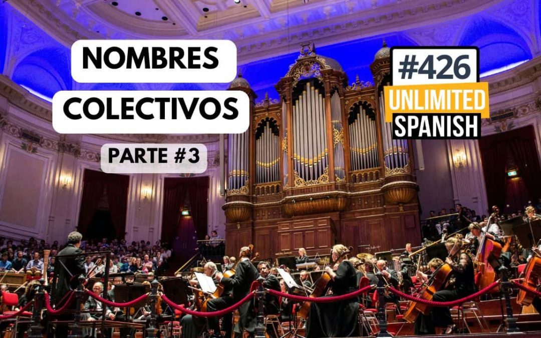 #426 Nombre colectivos en español 3