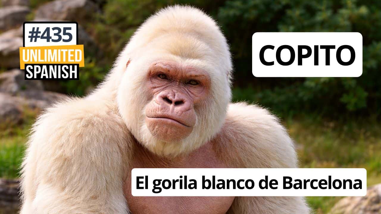Copito - El gorila blanco de Barcelona