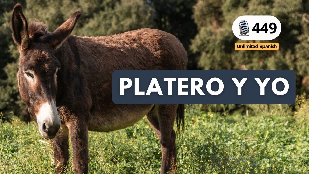 Platero y yo